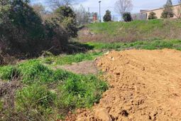 E/s Tremont Avenue photo 4