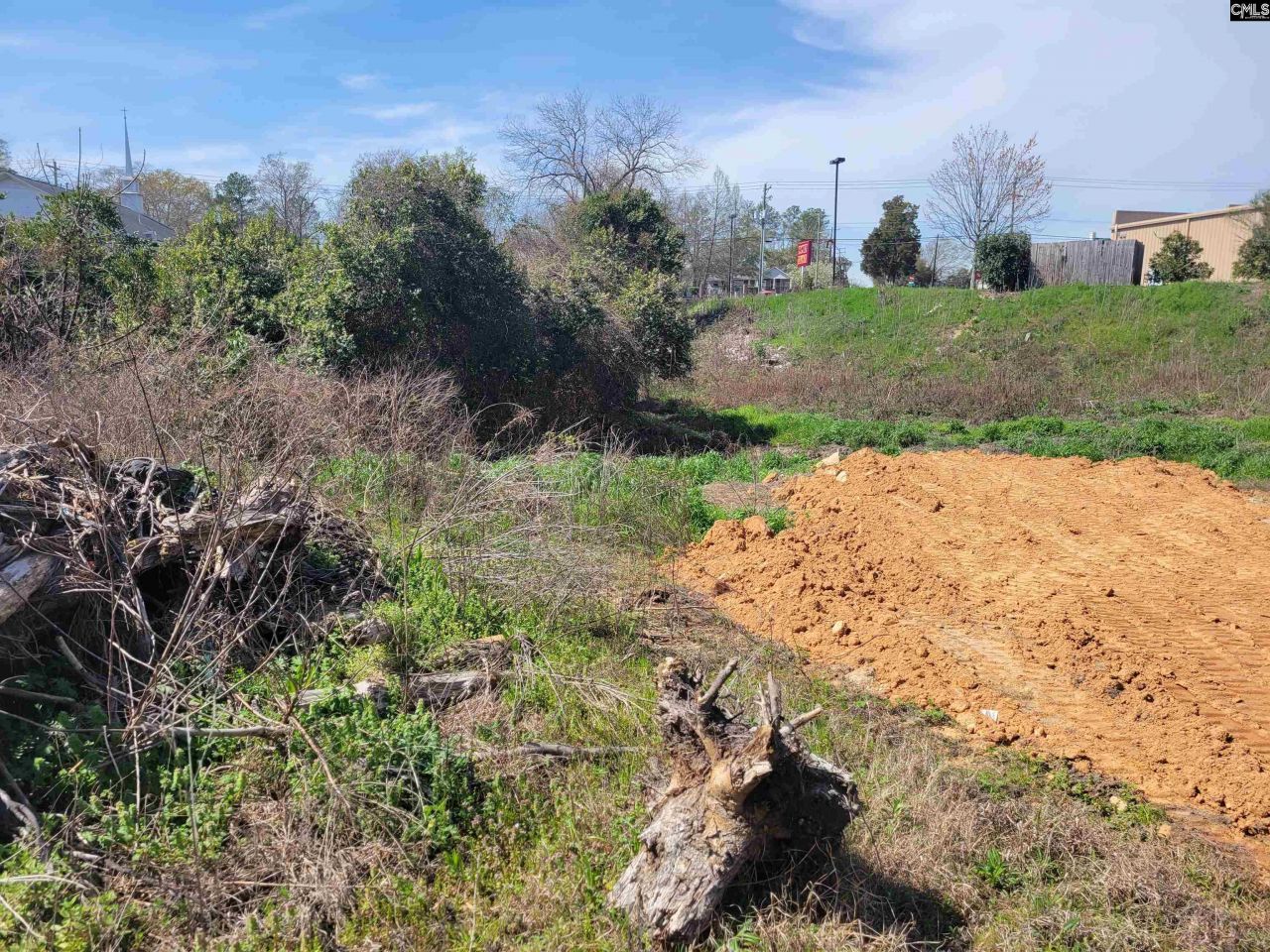 E/s Tremont Avenue Photo 5