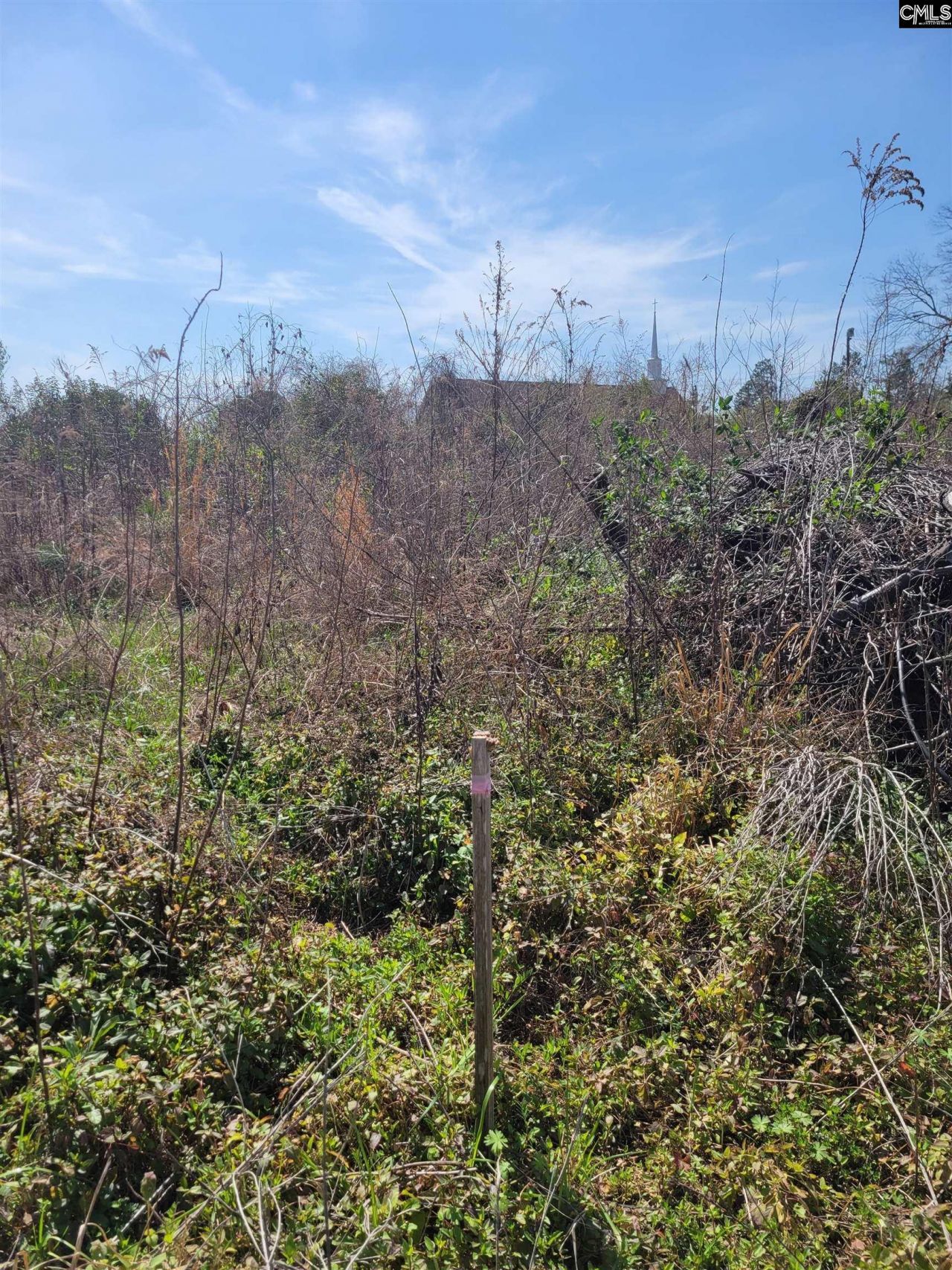 E/s Tremont Avenue Photo 7