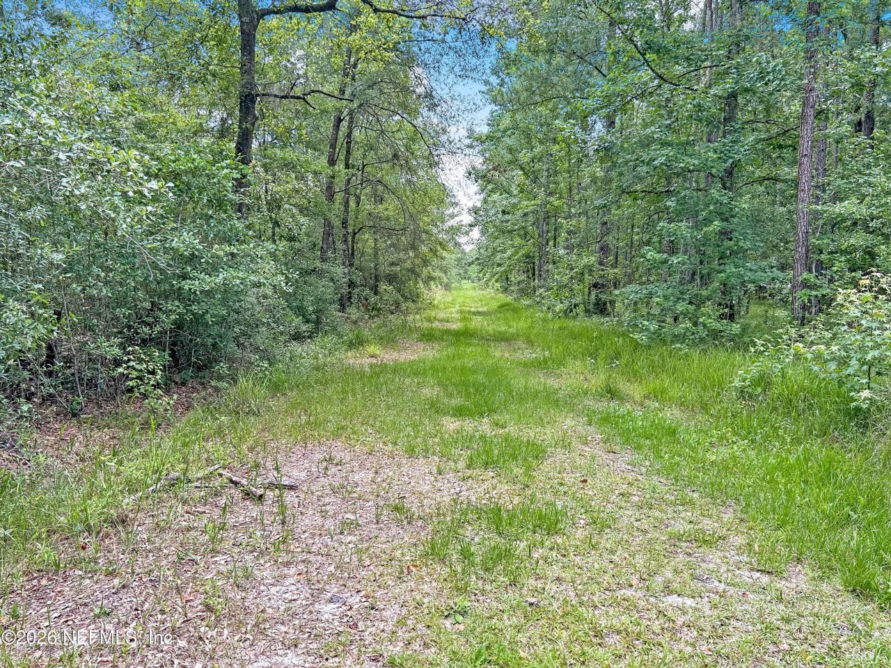 0 Black Creek Drive, Middleburg, FL 32068 Photo