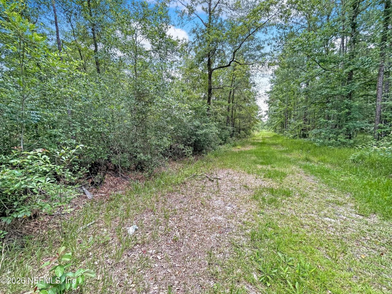 0 Black Creek Drive, Middleburg, FL 32068 Photo