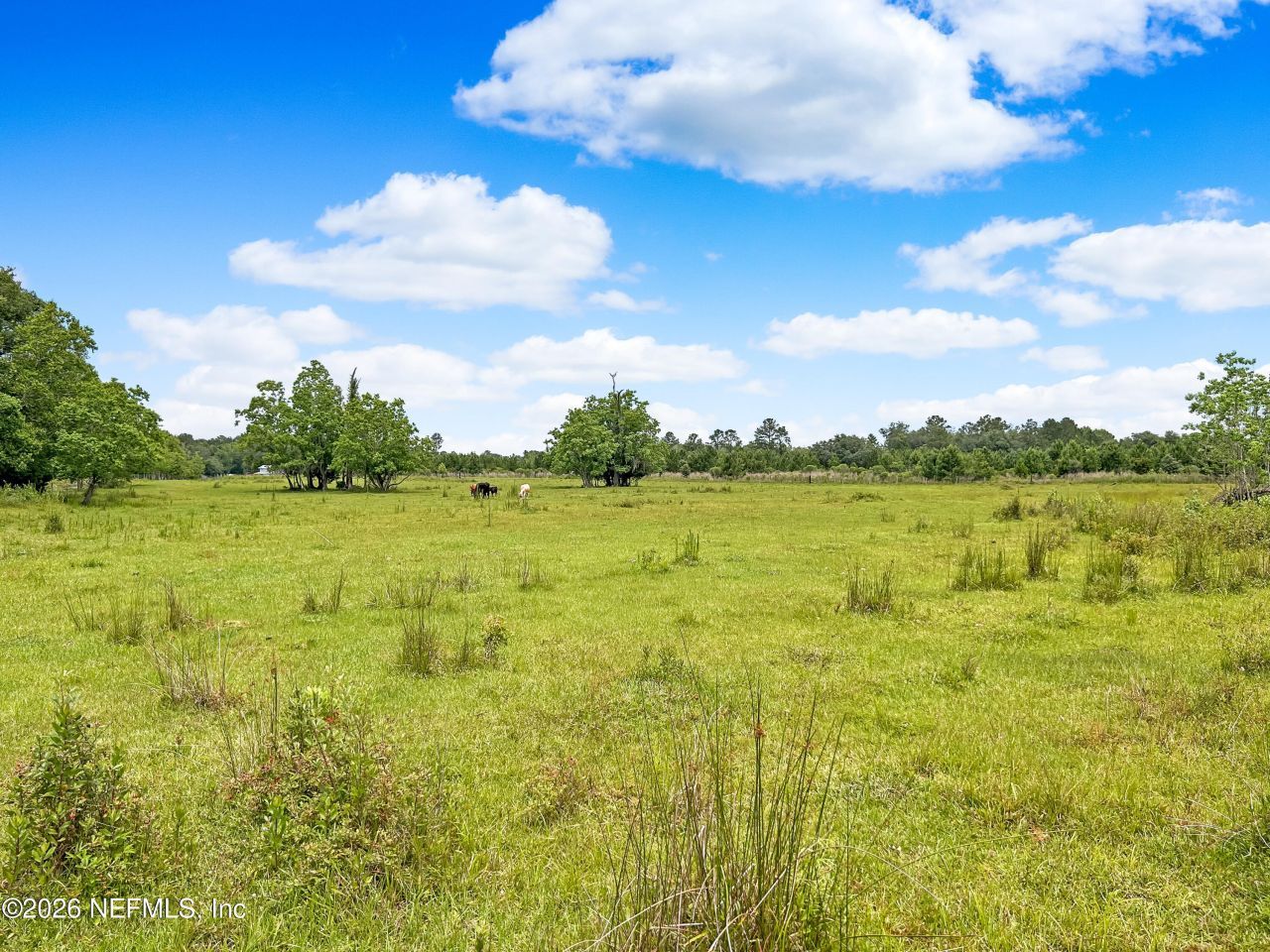 0 Black Creek Drive, Middleburg, FL 32068 Photo