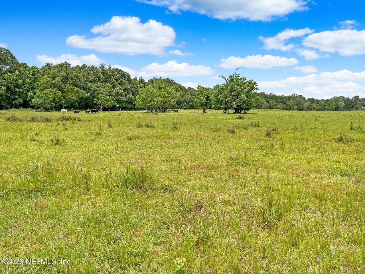 0 Black Creek Drive, Middleburg, FL 32068 Photo