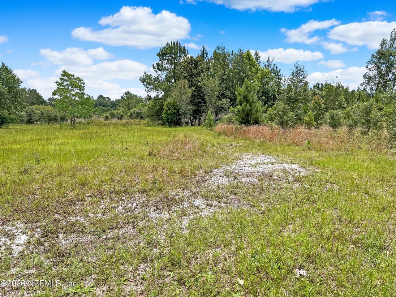 0 Black Creek Drive, Middleburg, FL 32068 Photo