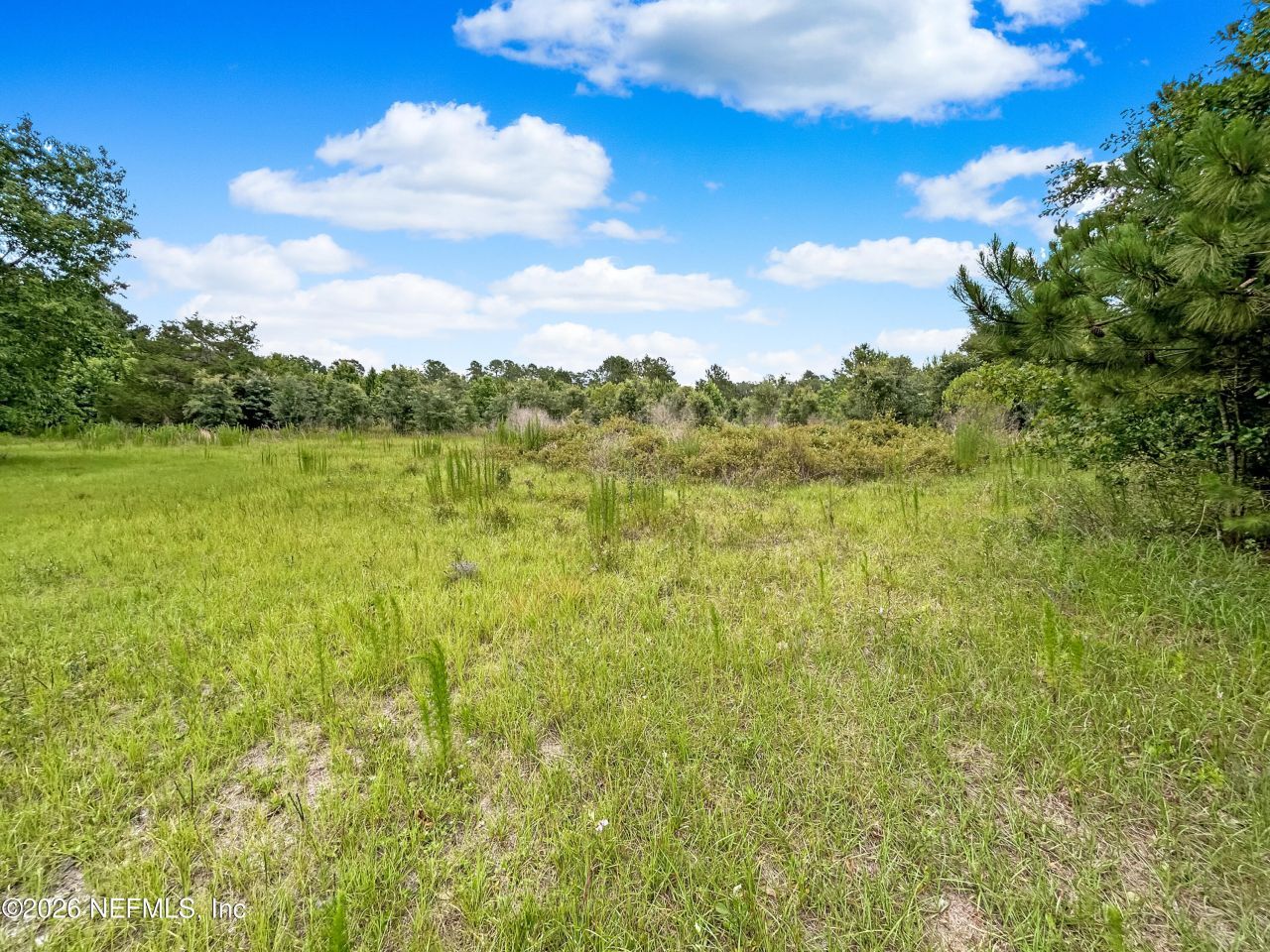 0 Black Creek Drive, Middleburg, FL 32068 Photo