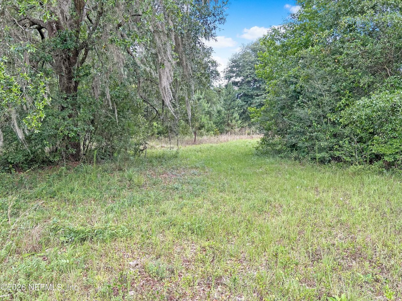 0 Black Creek Drive, Middleburg, FL 32068 Photo