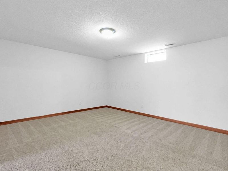 324 Bottecchia Boulevard, Johnstown, OH 43031 Photo 30