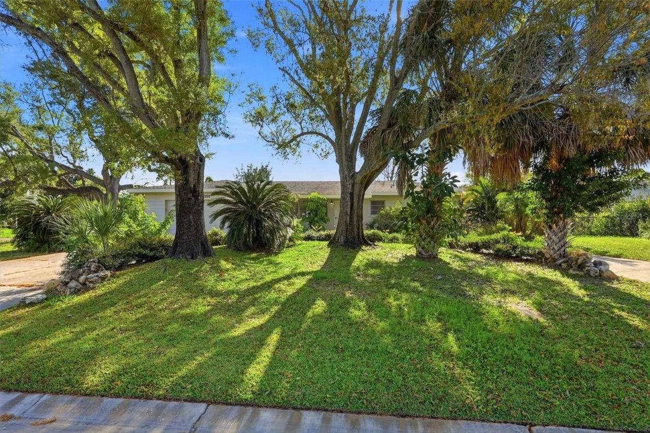 3391 Walnut Street Ne, Saint Petersburg, FL 33704 Photo