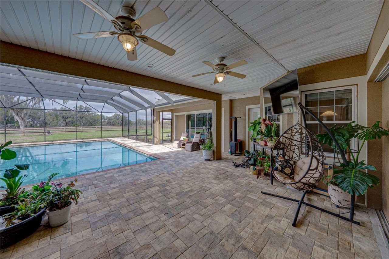 15131 Bellamy Brothers Boulevard, Dade City, FL 33525 Photo