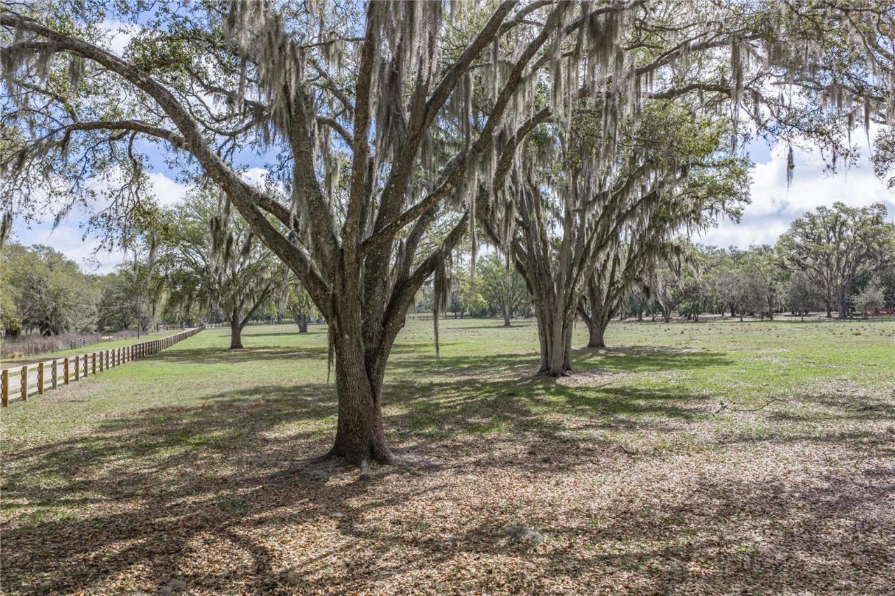 15131 Bellamy Brothers Boulevard, Dade City, FL 33525 Photo