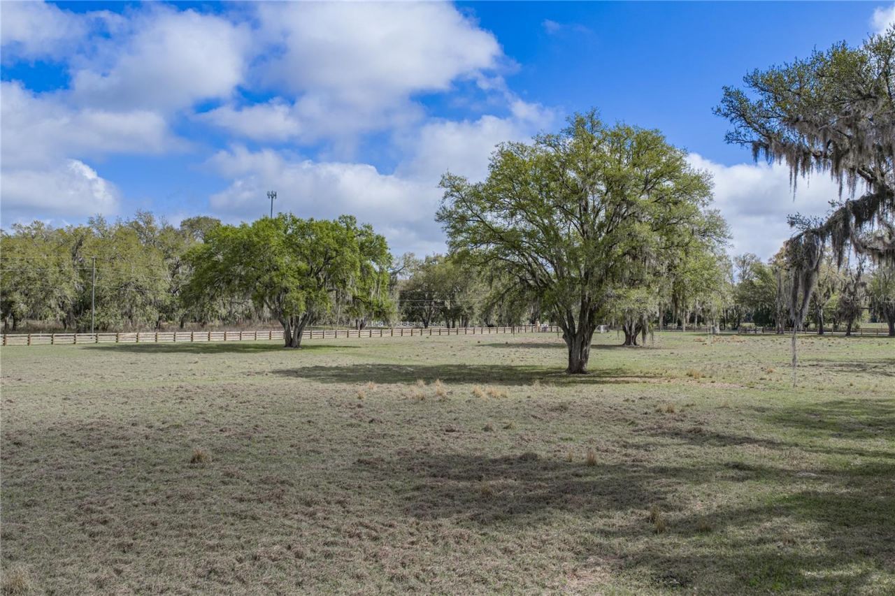 15131 Bellamy Brothers Boulevard, Dade City, FL 33525 Photo