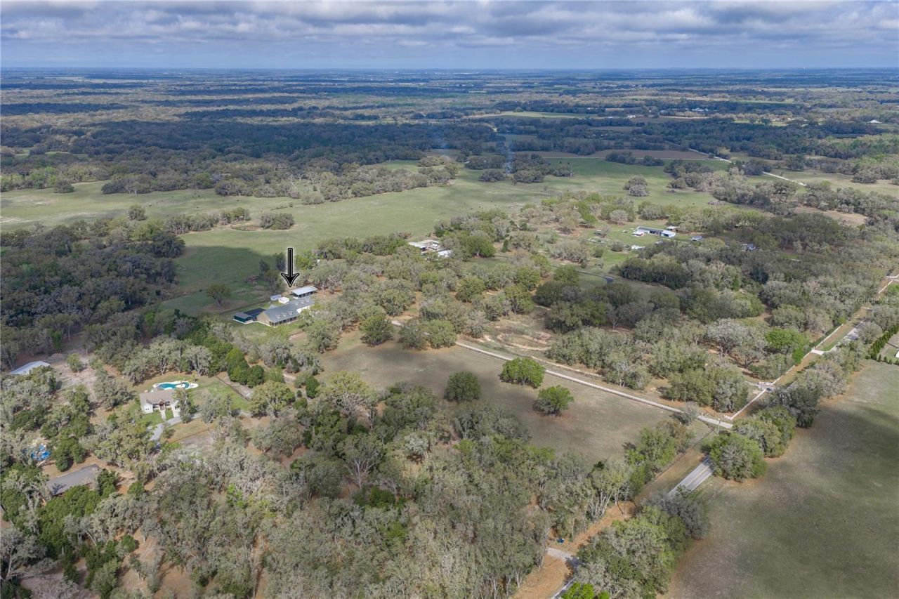 15131 Bellamy Brothers Boulevard, Dade City, FL 33525 Photo