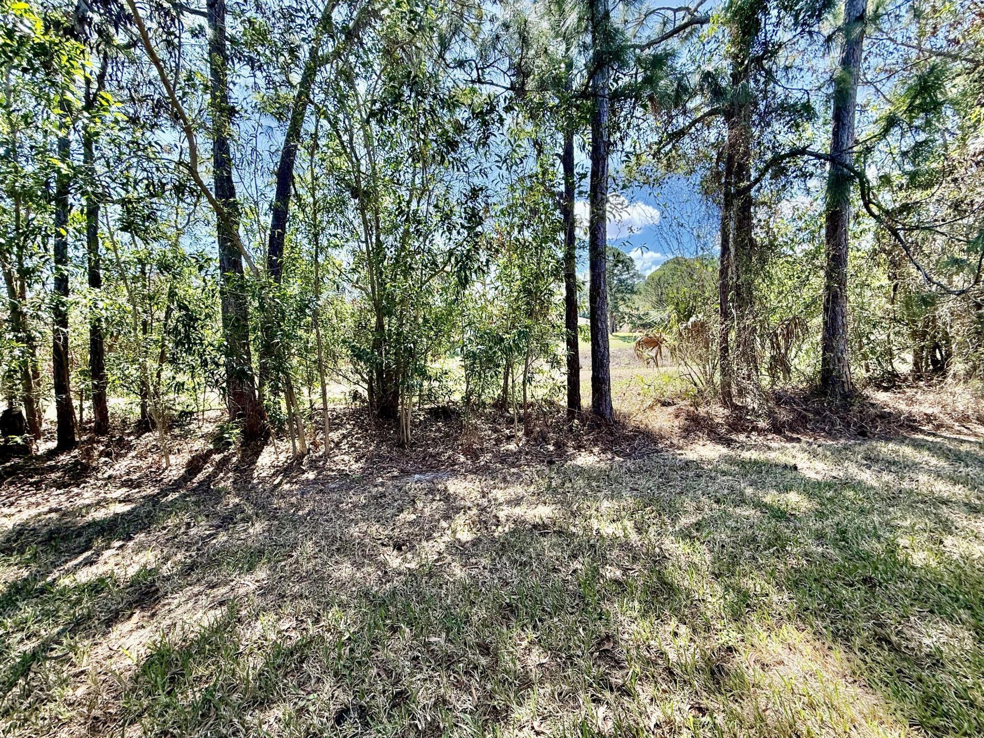 692 NE Turtleback Trail, Port Saint Lucie, FL 34983 Photo