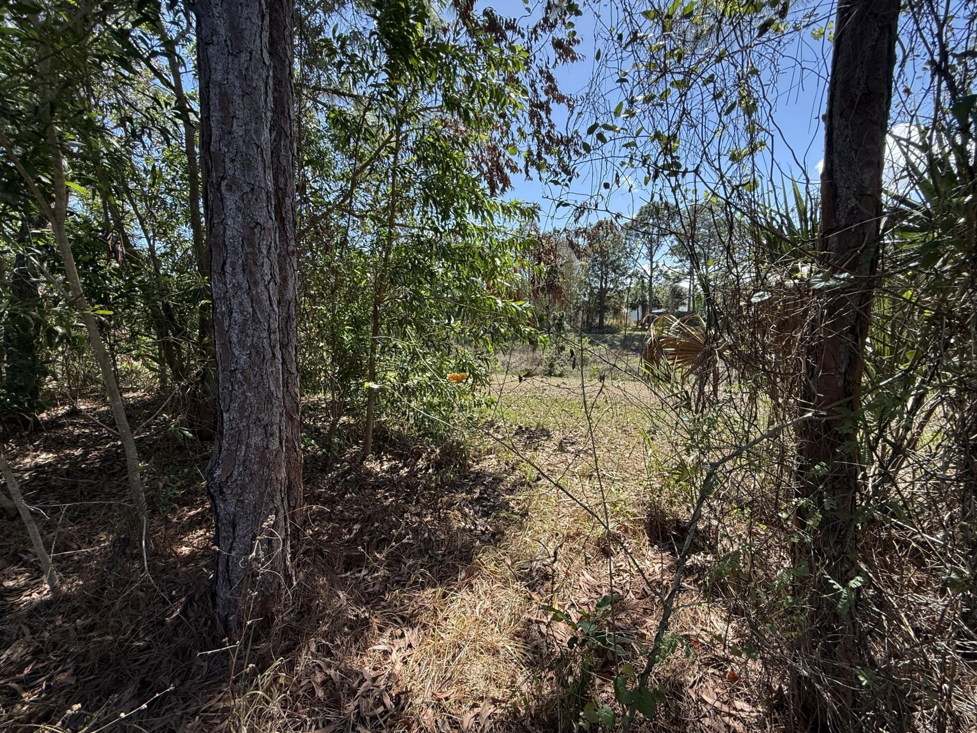 692 NE Turtleback Trail, Port Saint Lucie, FL 34983 Photo