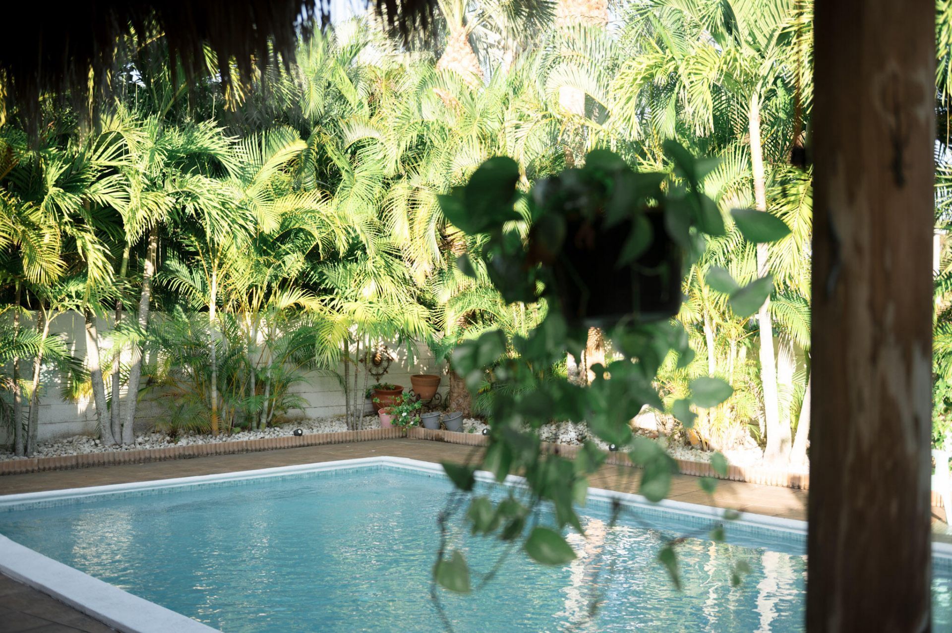 1906 S Ocean Drive, Fort Pierce, FL 34949 Photo