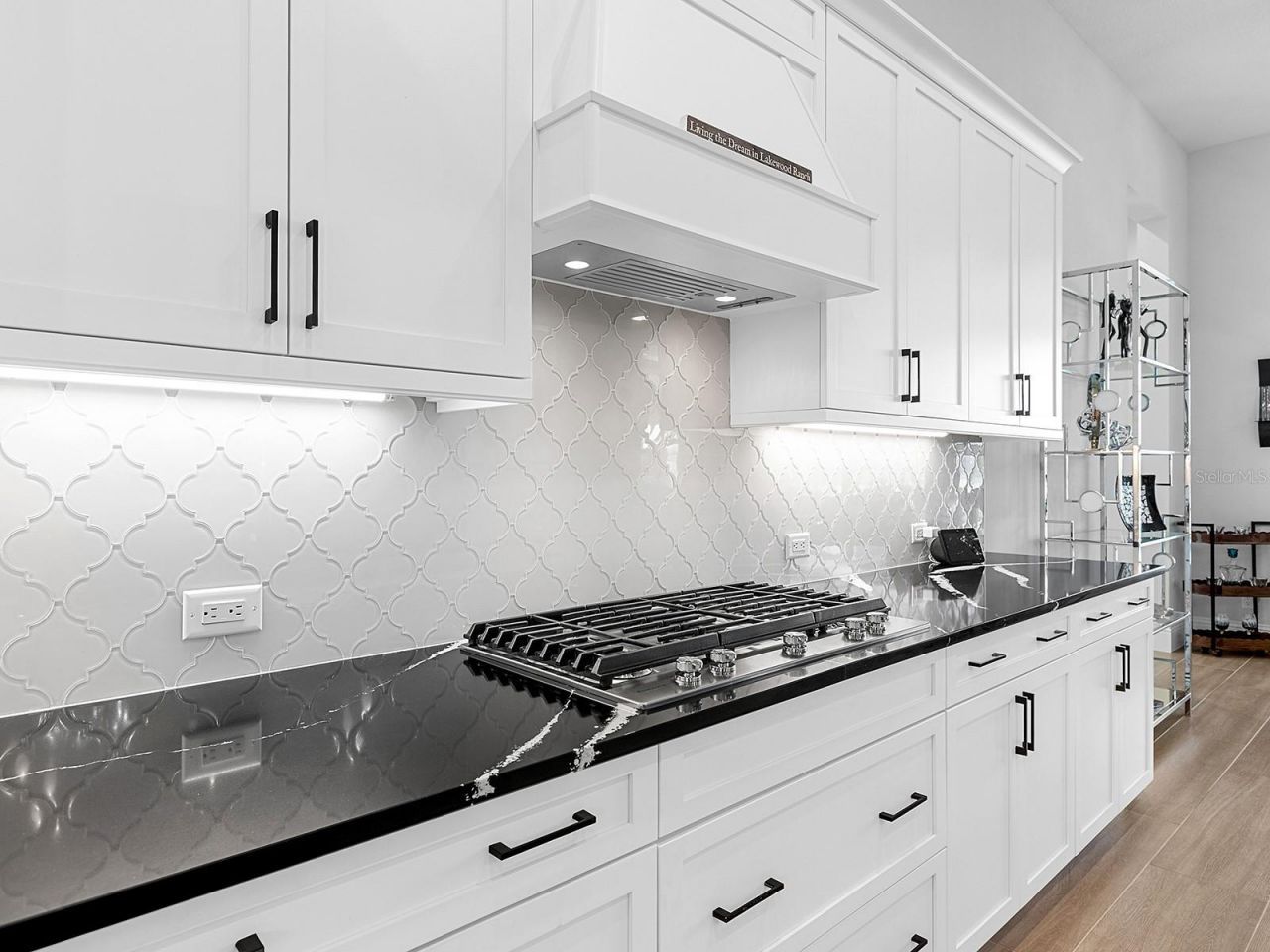 17238 Salerno Drive, Lakewood Ranch, FL 34202 Photo