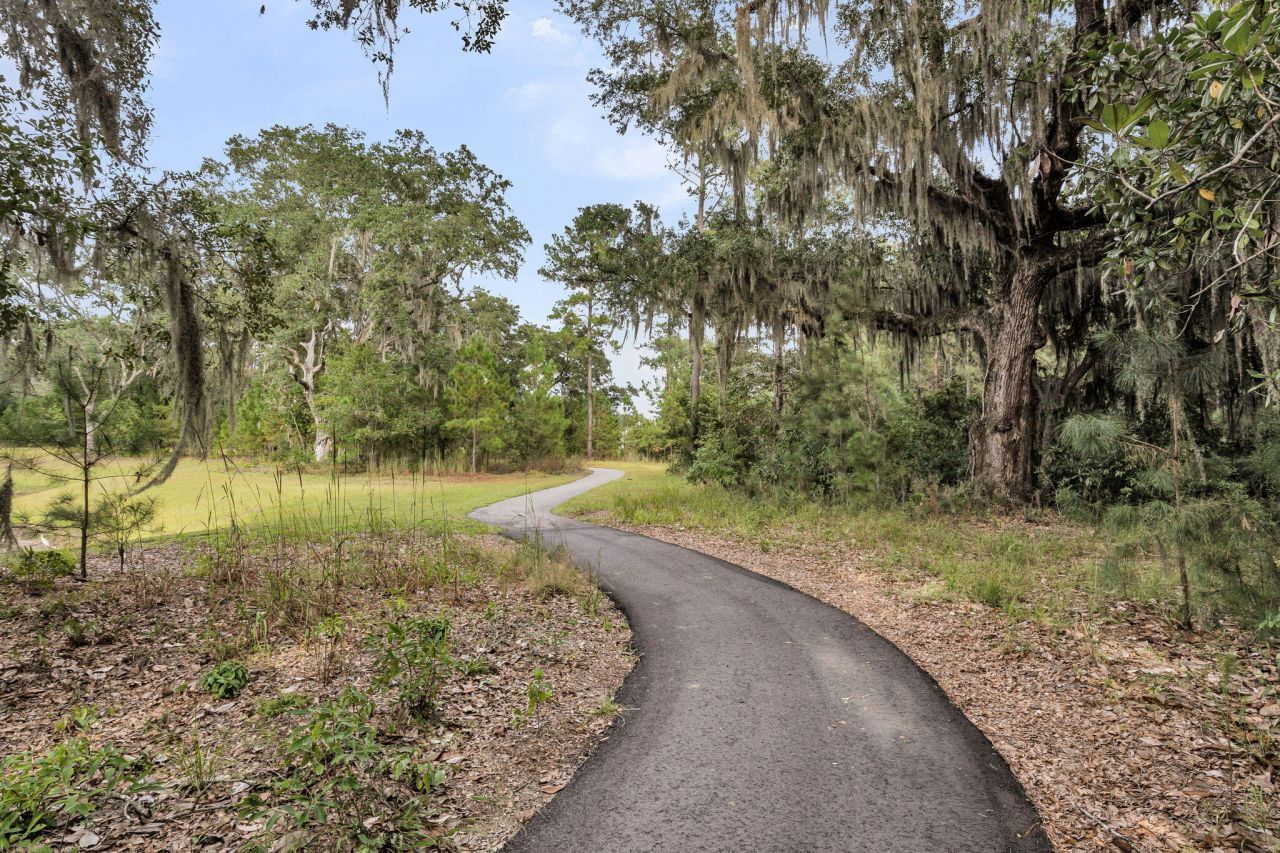 5030 Lady Bird Alley Photo 70