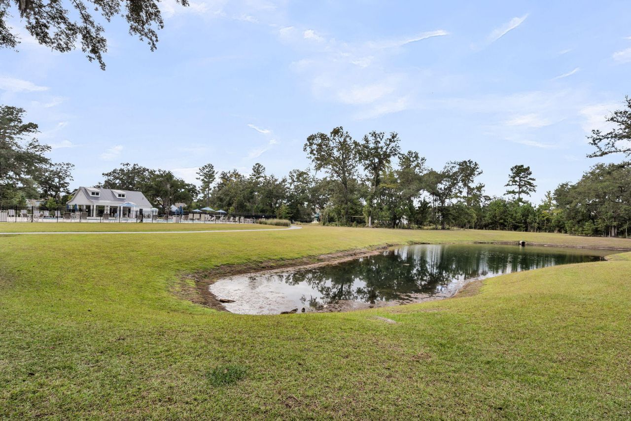 5030 Lady Bird Alley Photo 71