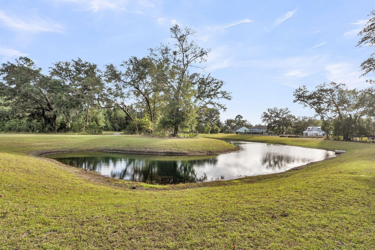 5030 Lady Bird Alley Photo 75