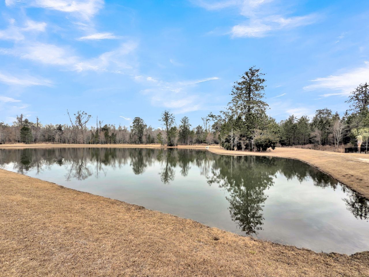 5030 Lady Bird Alley Photo 76