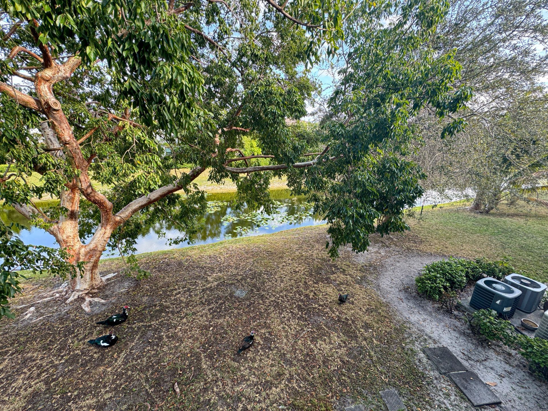 9013 NW 38th Drive, Unit 207, Coral Springs, FL 33065 Photo