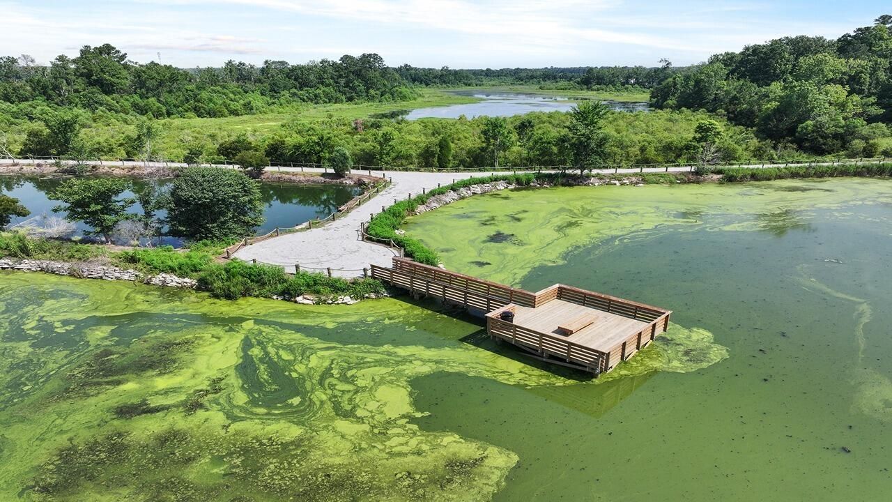 484 Tulip Poplar Drive Photo 22