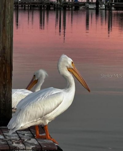 10315 Cortez Road W, Unit 27F, Bradenton, FL 34210 Photo