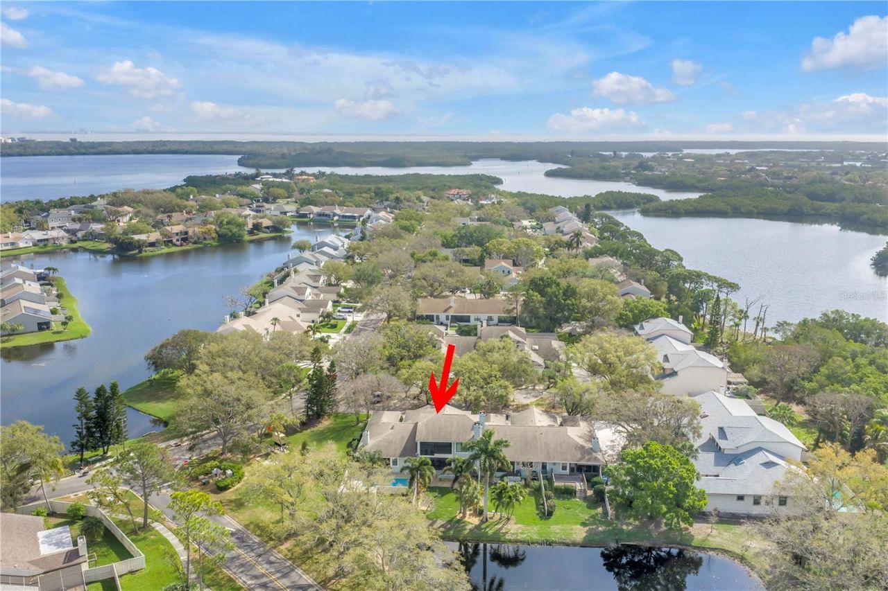 812 Amelia Court Ne, Saint Petersburg, FL 33702 Photo