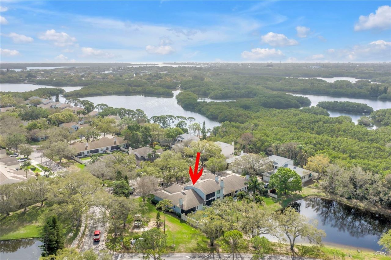 812 Amelia Court Ne, Saint Petersburg, FL 33702 Photo