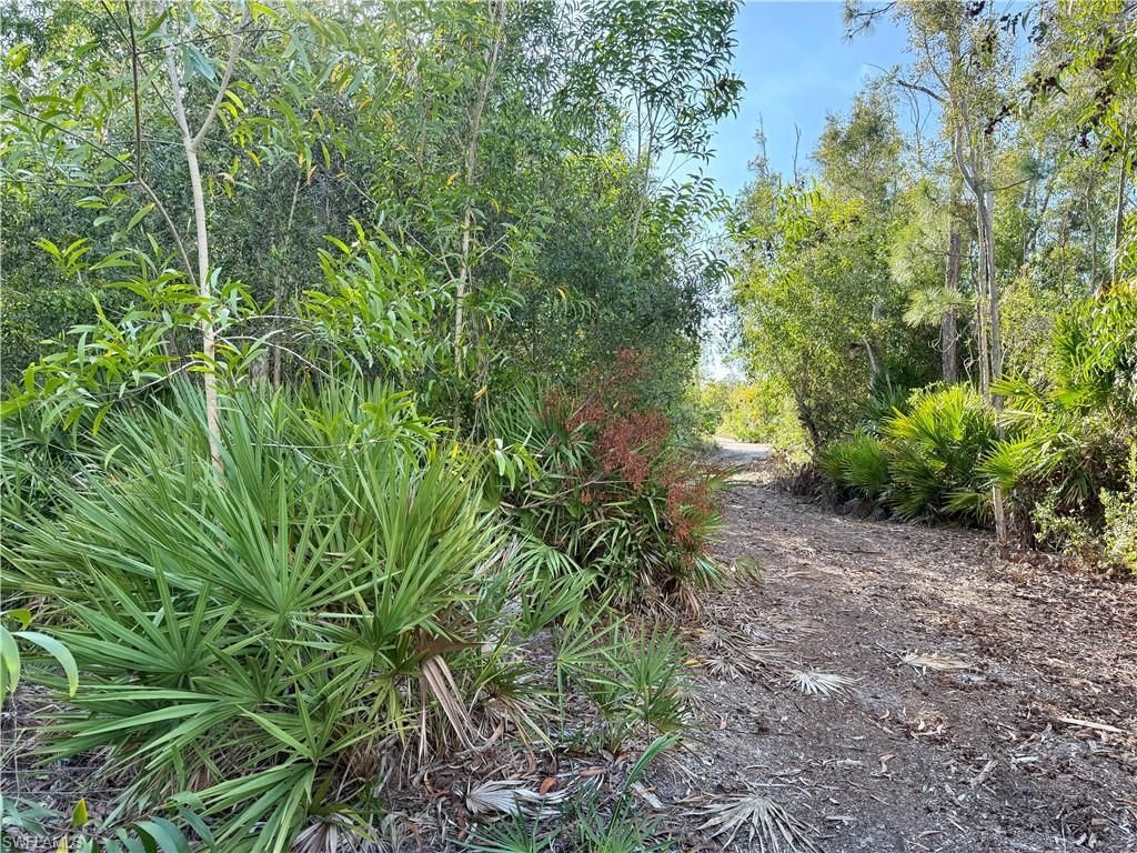 7101 Guava Ave , Bokeelia, FL 33922 Photo