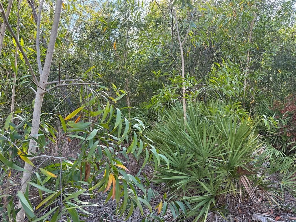 7101 Guava Ave , Bokeelia, FL 33922 Photo