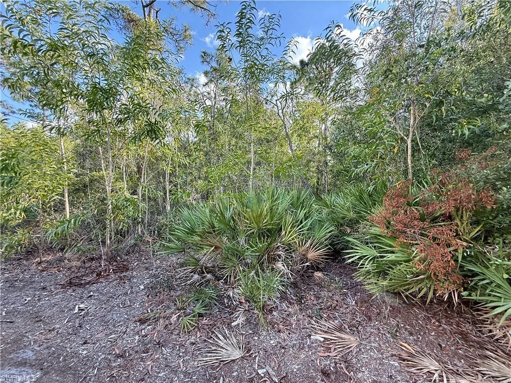 7091 Guava Ave , Bokeelia, FL 33922 Photo