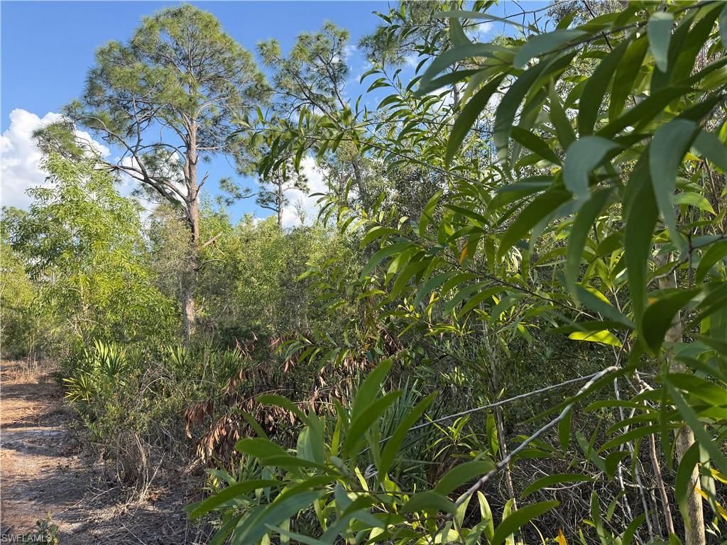 7091 Guava Ave , Bokeelia, FL 33922 Photo