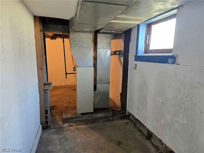 319 17th Street, Elyria, OH 44035 Photo 14