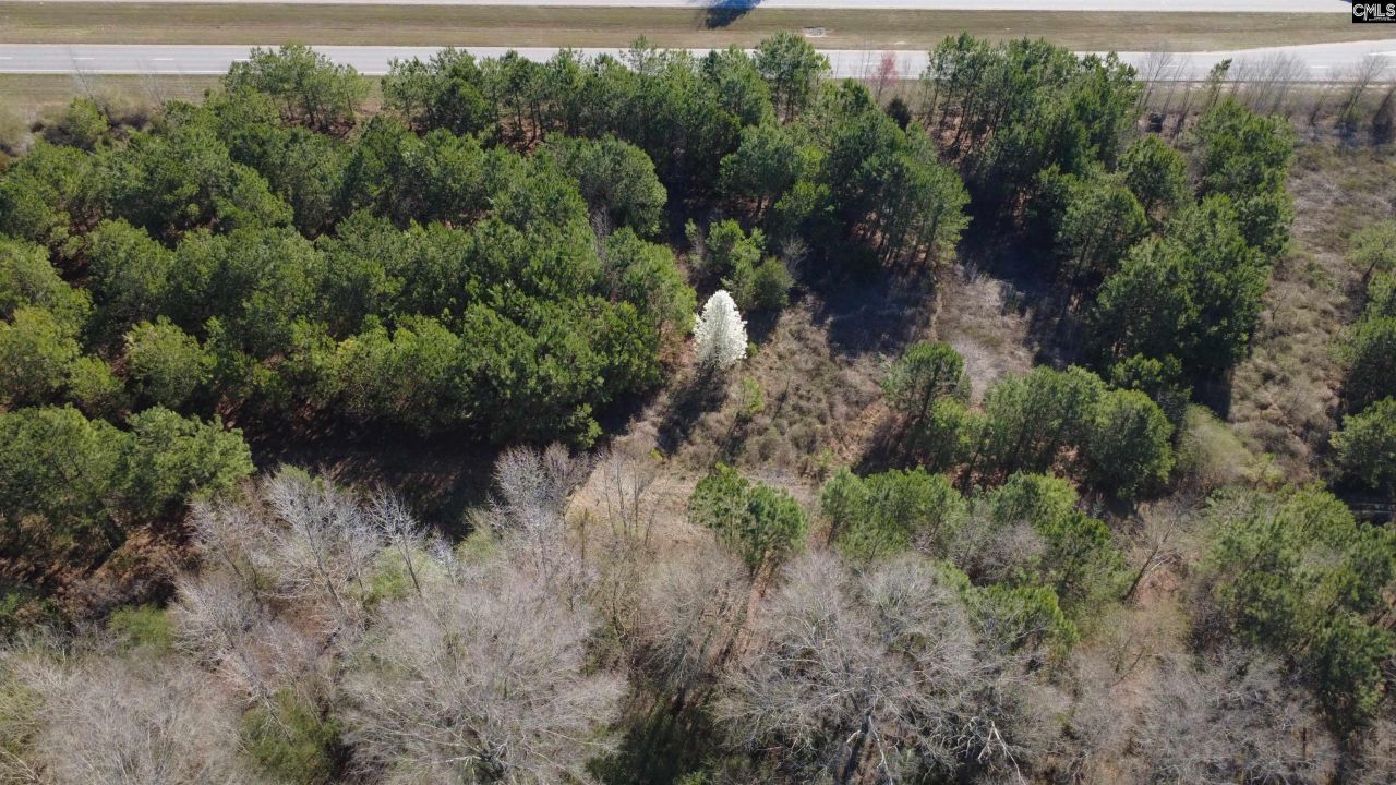 330 Highway 151 Photo 4