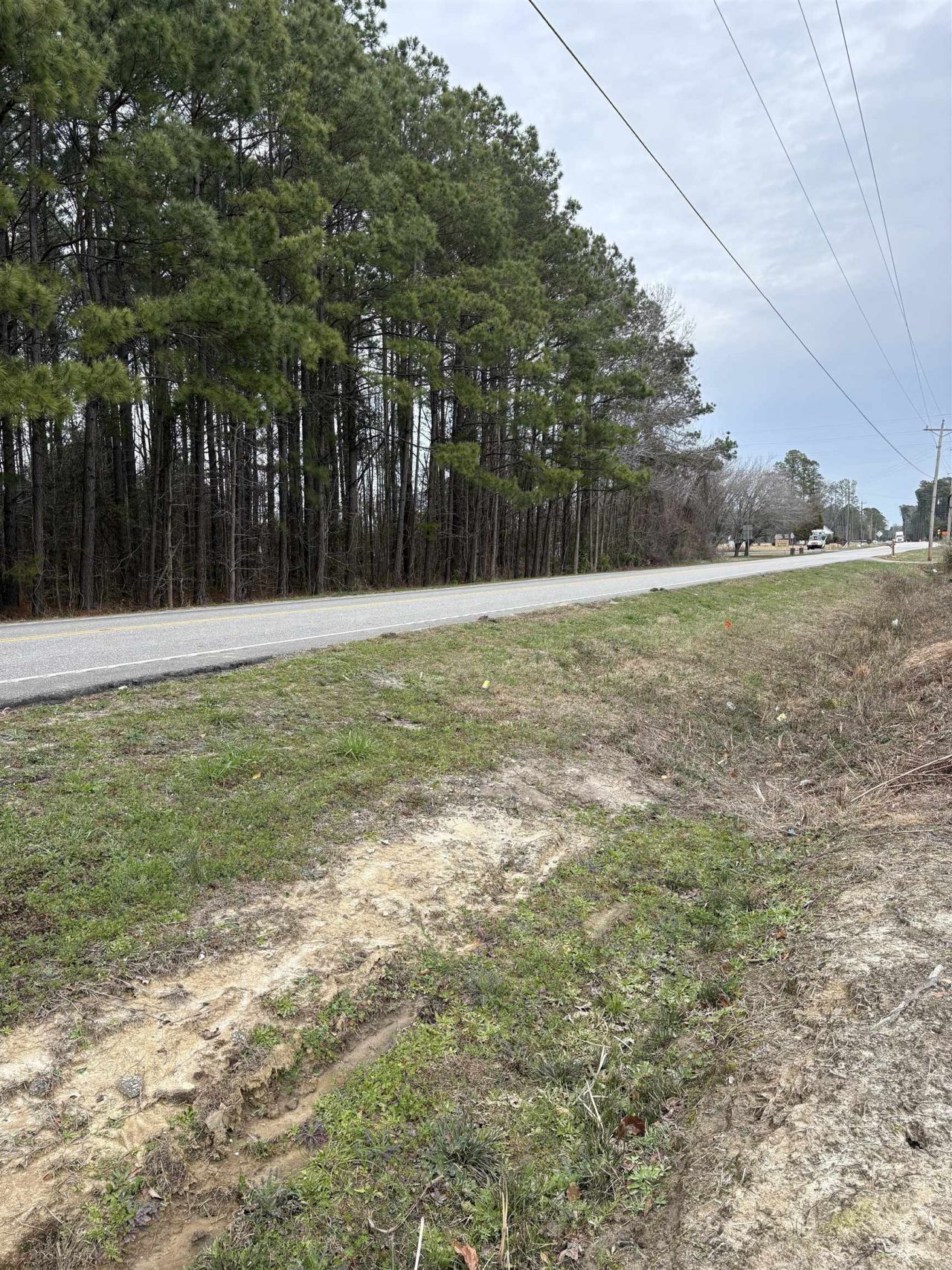 Tbd N Highway 905 Photo 4