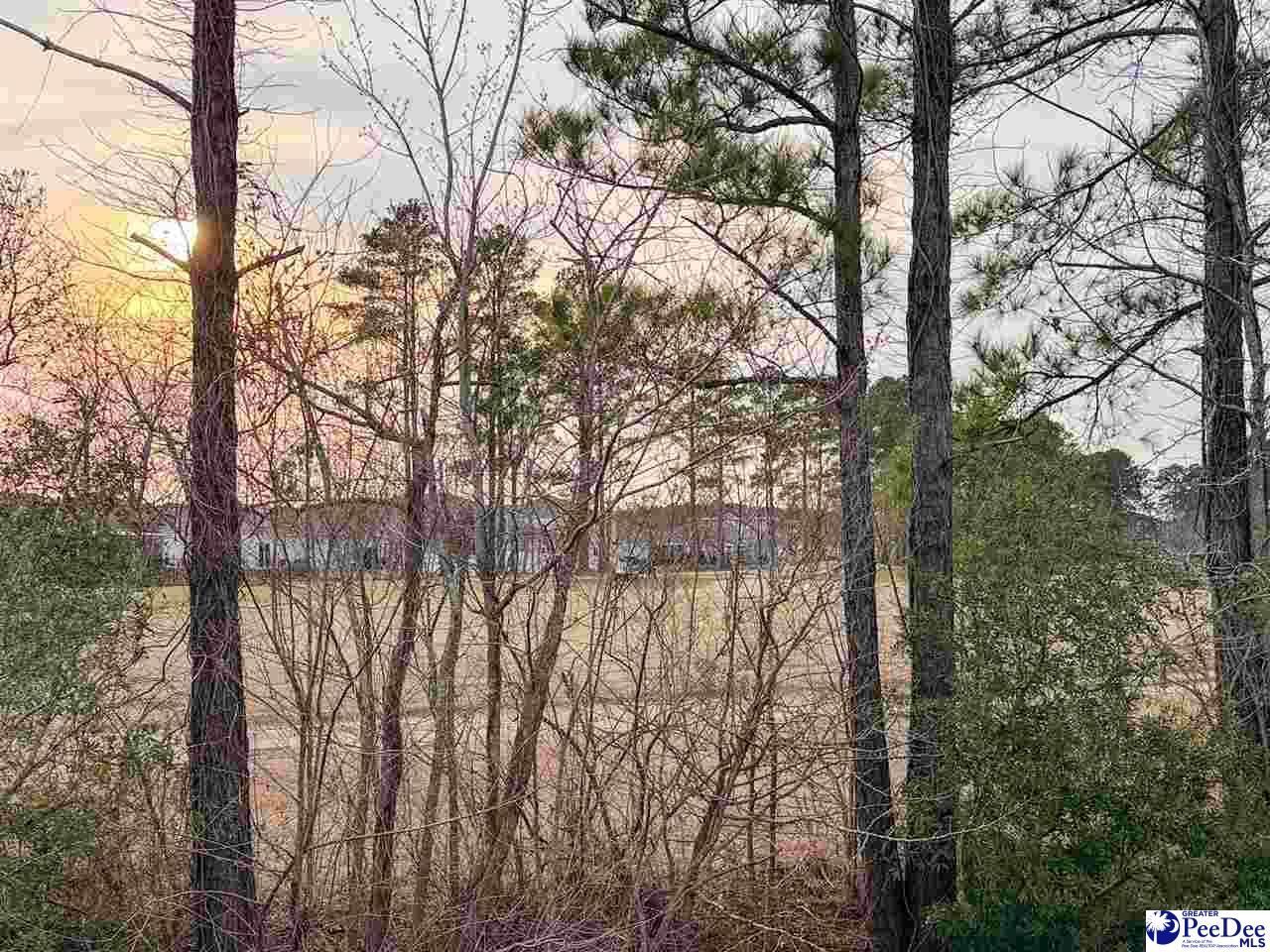 119 Marauder Drive Photo 32