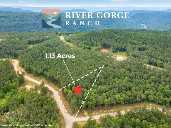 1108 Birds Eye Way, Guild, TN 37340