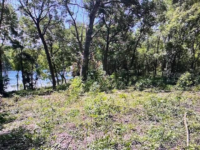 2&3 Spring Lake Road , Fruitland Park, FL 34731 Photo