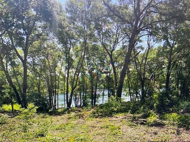 2&3 Spring Lake Road , Fruitland Park, FL 34731 Photo