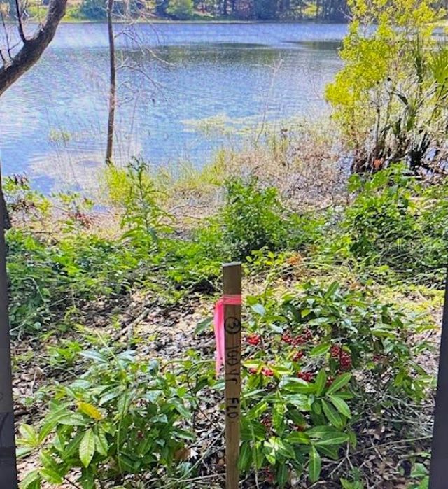 2&3 Spring Lake Road , Fruitland Park, FL 34731 Photo