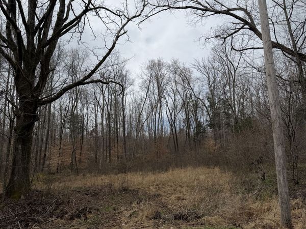 0 Highway Coxburg Rd S, Holladay, TN 38341