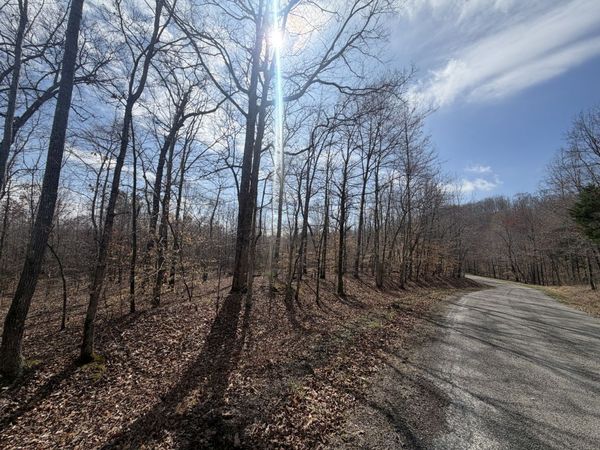 1 Highway Coxburg Rd S, Holladay, TN 38341