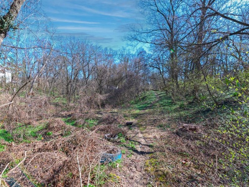 2560 Ridgeland Place, Cincinnati, OH 45212 Photo 53