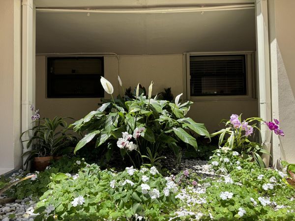 112 Lake Emerald Drive, Unit 204, Oakland Park, FL 33309