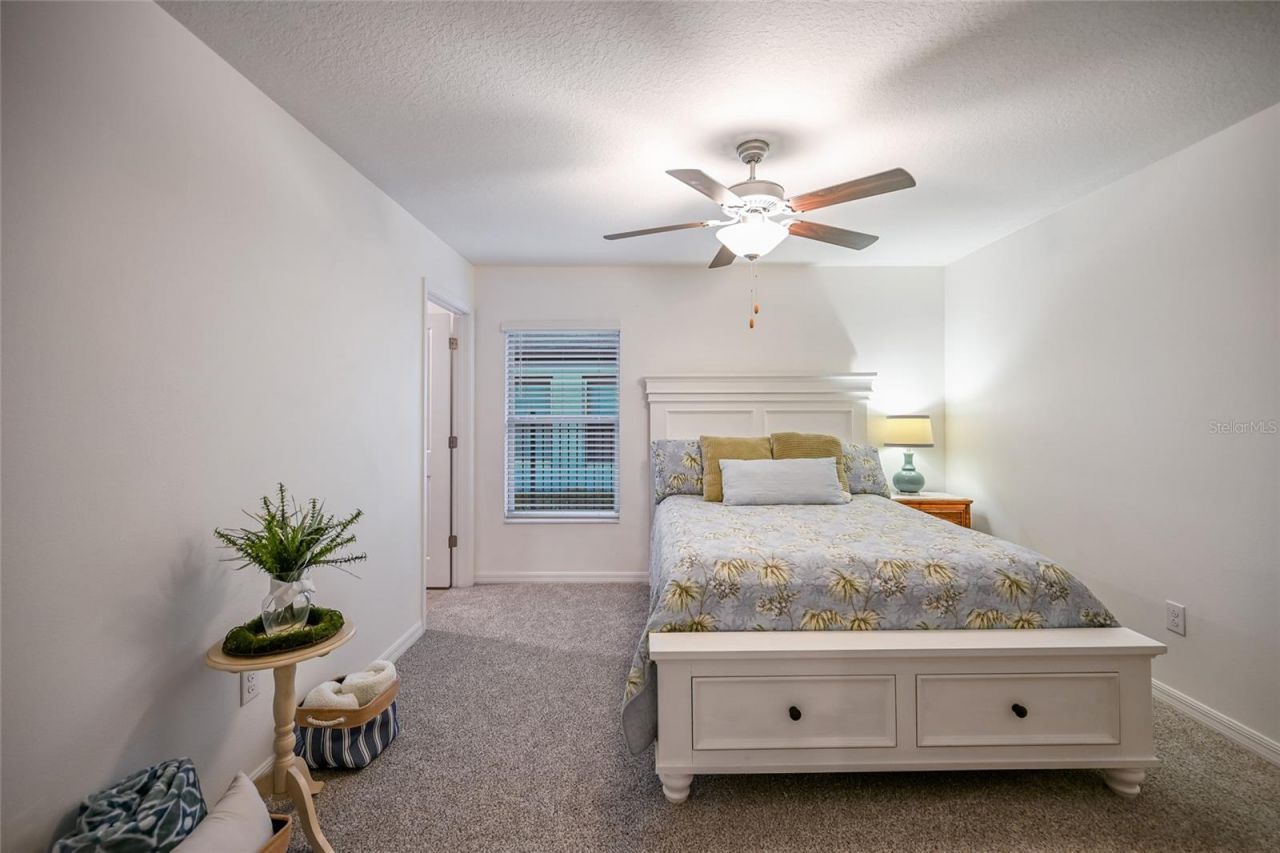 5109 Olano Street, Palmetto, FL 34221 Photo