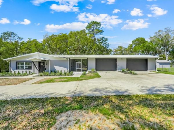 311 GRIFFIN VIEW DRIVE , LADY LAKE, FL 32159