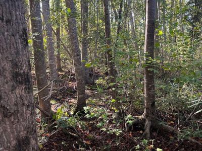 PPF 18 Payne Pond Road, Westville, SC 29175