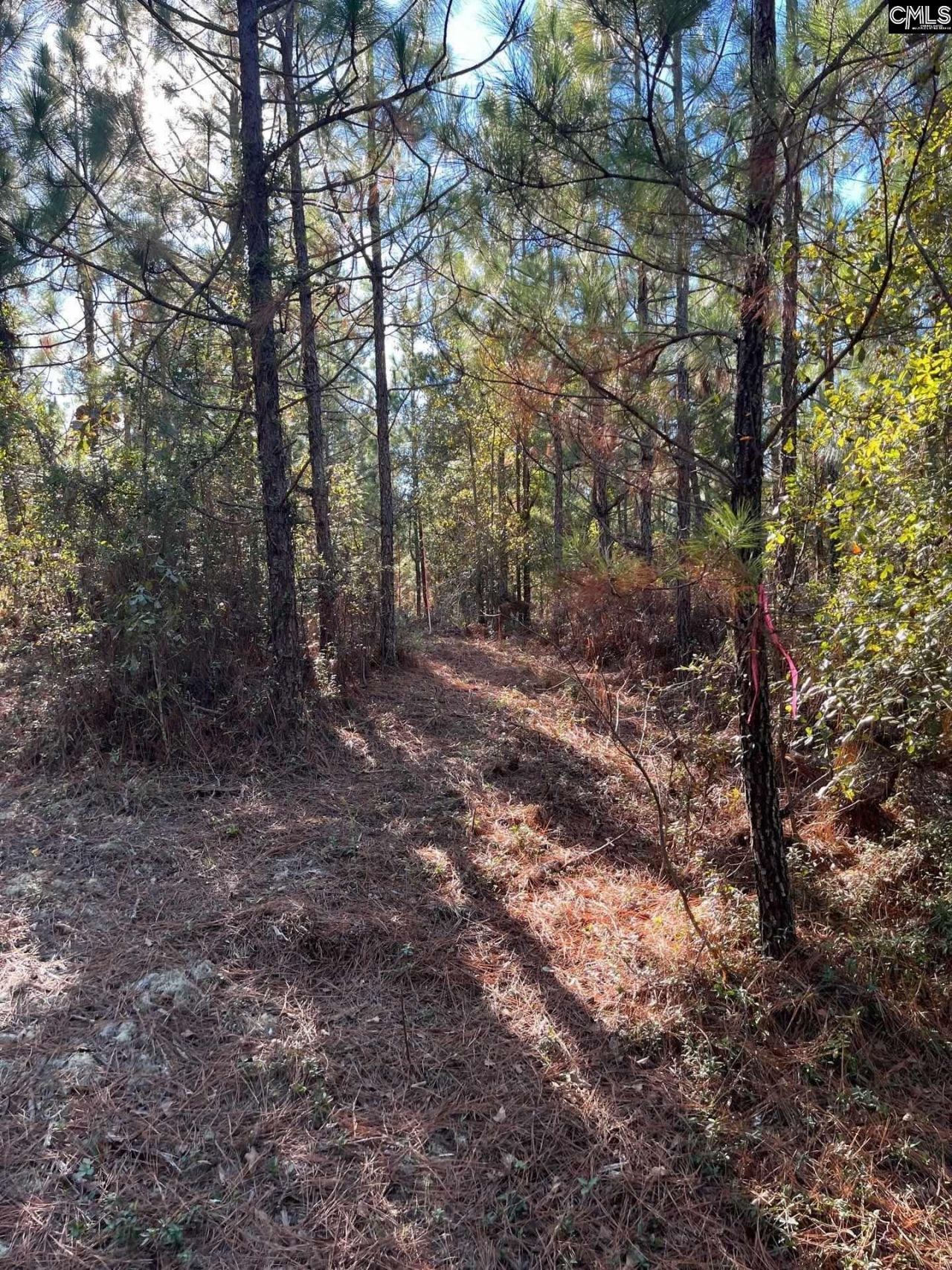 Ppf 18 Payne Pond Road  Photo 11