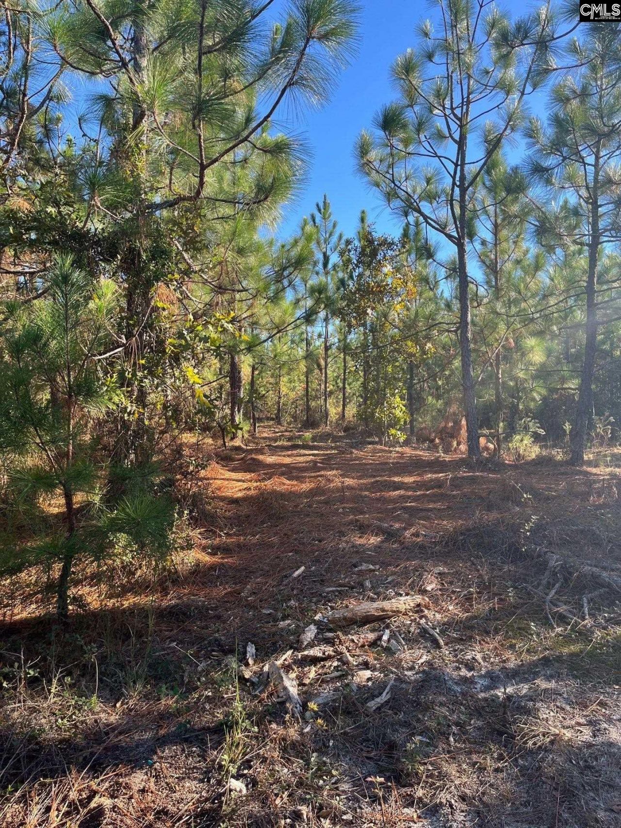 Ppf 18 Payne Pond Road  Photo 13